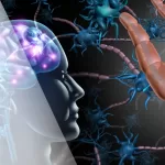 Needle by Needle: Acupuncture and Healing from Trauma